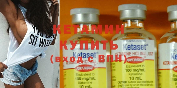 крисы Бородино